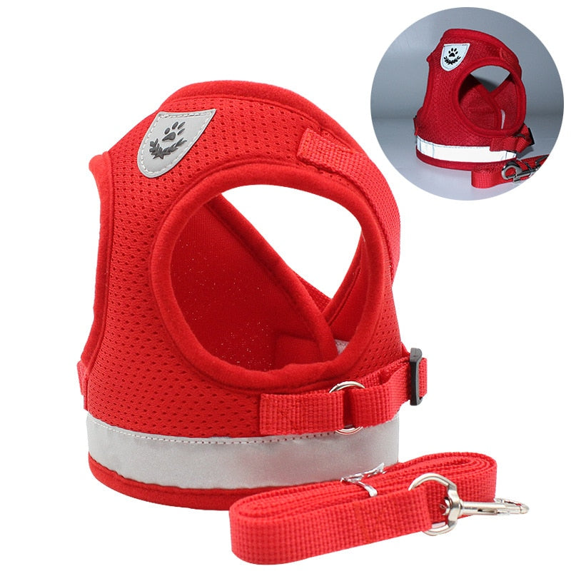 Leash with harness for pets