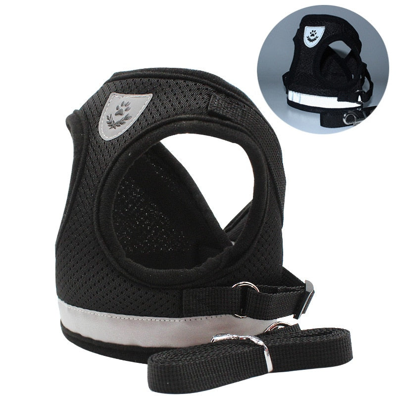 Leash with harness for pets