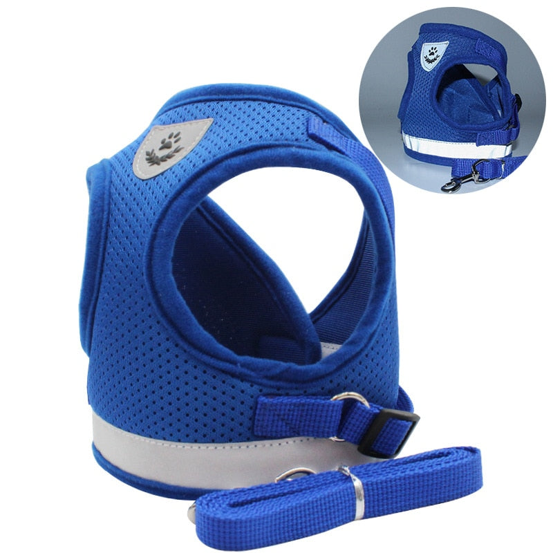 Leash with harness for pets