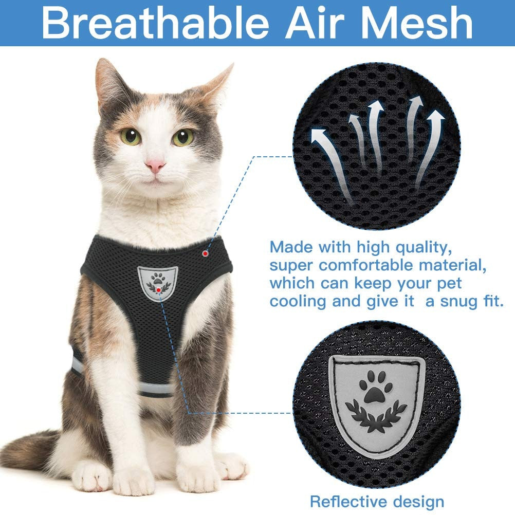 Leash with harness for pets