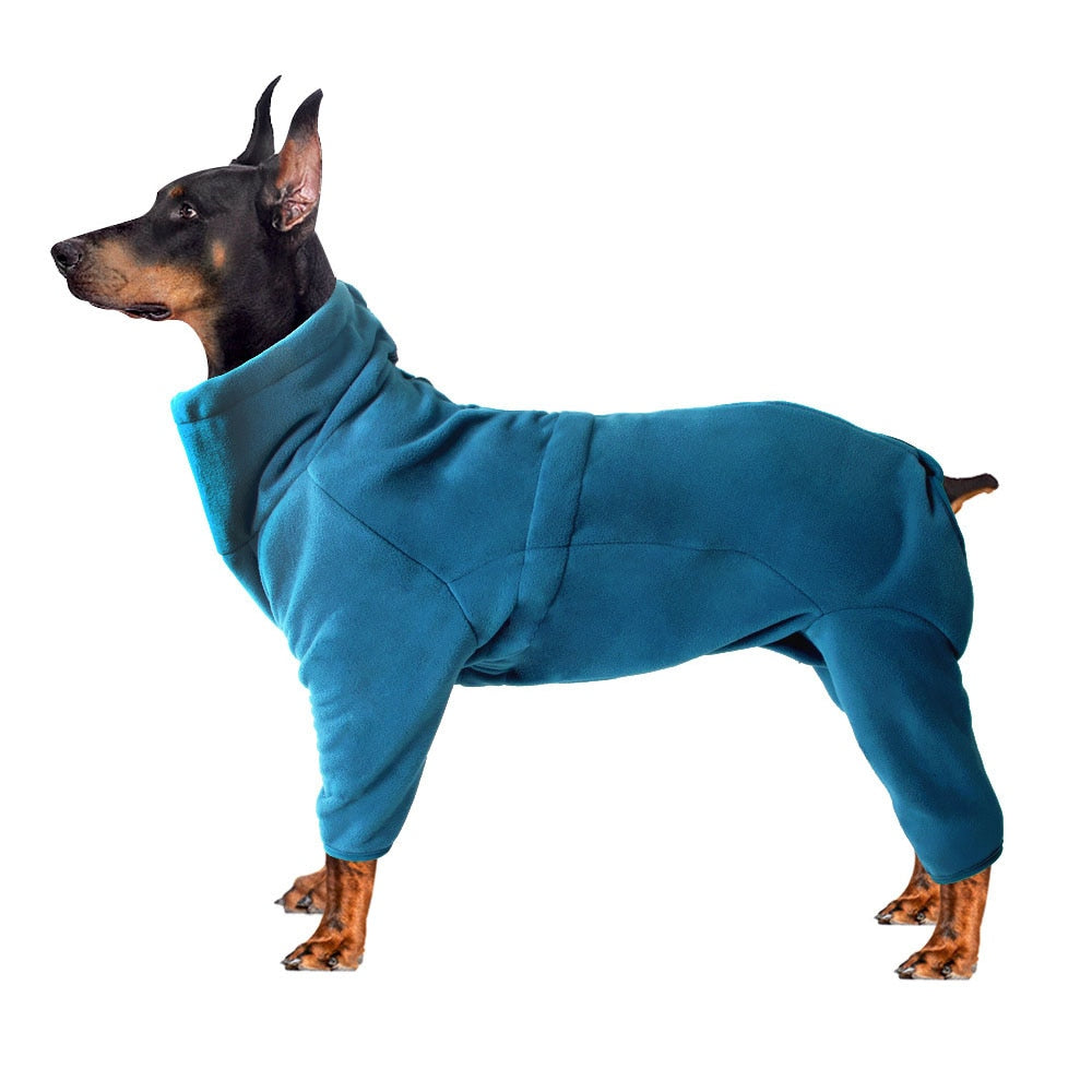 Winter coat for dogs.