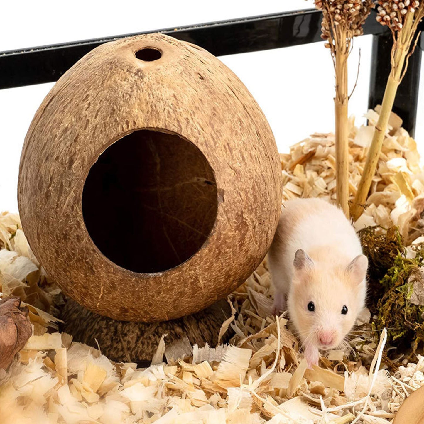 Coconut styled hiding spot for hamsters