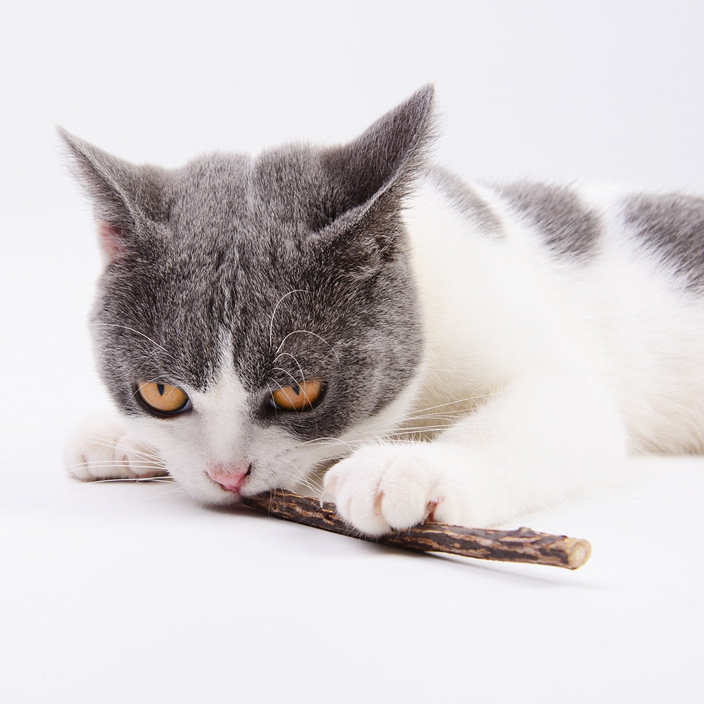 Tree branch pet toy for cats.