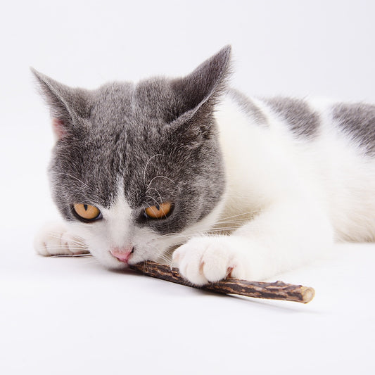 Tree branch pet toy for cats.