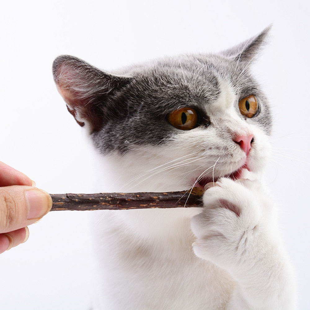 Tree branch pet toy for cats.